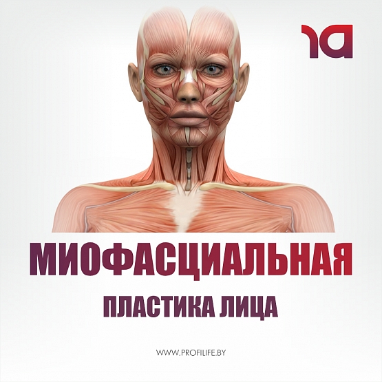МИОФАСЦИАЛЬНОЕ МОДЕЛИРОВАНИЕ ЛИЦА